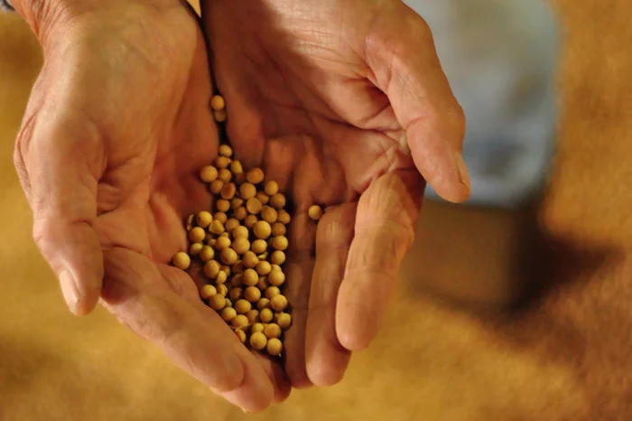 Diogo Zanatta / Divulgação