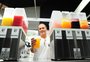 Suco de butiá e chips de aipim: expositores da agricultura familiar na Festa da Uva diversificam produtos e comemoram vendas