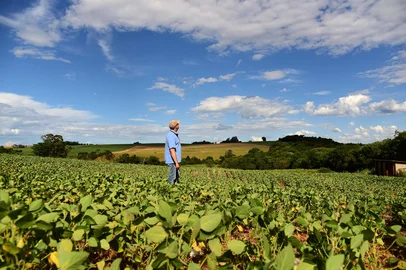 NÃO-ME-TOQUE, RS, BRASIL - 06.01.2020 - Lavouras de Soja e Milho na estiagem, seca em Não Me Toque/RS. Na imagem: Luiz Carlos Rohr, Engenheiro Agrônomo da Cotrijal.<!-- NICAID(14378695) -->