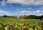 Agro gaúcho reivindica securitização das dívidas aos governos federal e do RS