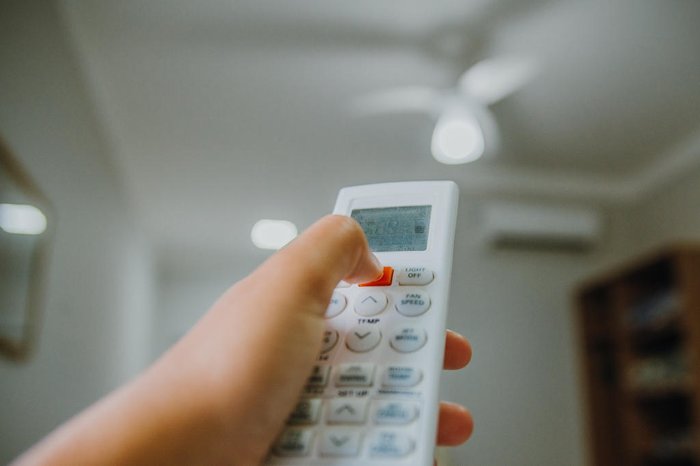 nathsegato / stock.adobe.com