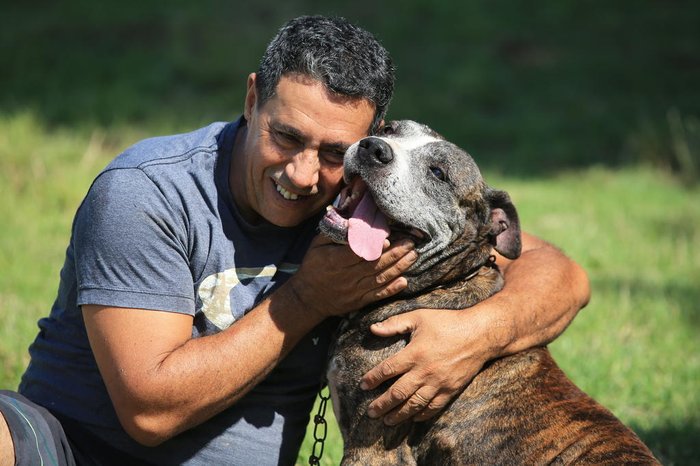 Cachorro salva a vida de homem atacado por tigre na Índia, Mundo Insólito