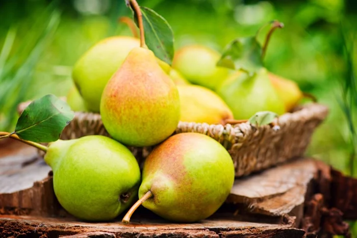 nelea33 / Shutterstock | Portal EdiCase nelea33 / Shutterstock | Portal EdiCase