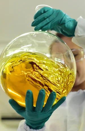 Diego Zanatta / Especial