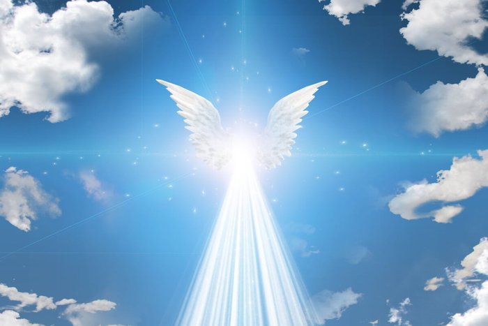 Bruce Rolff / Shutterstock | Portal EdiCase Bruce Rolff / Shutterstock | Portal EdiCase