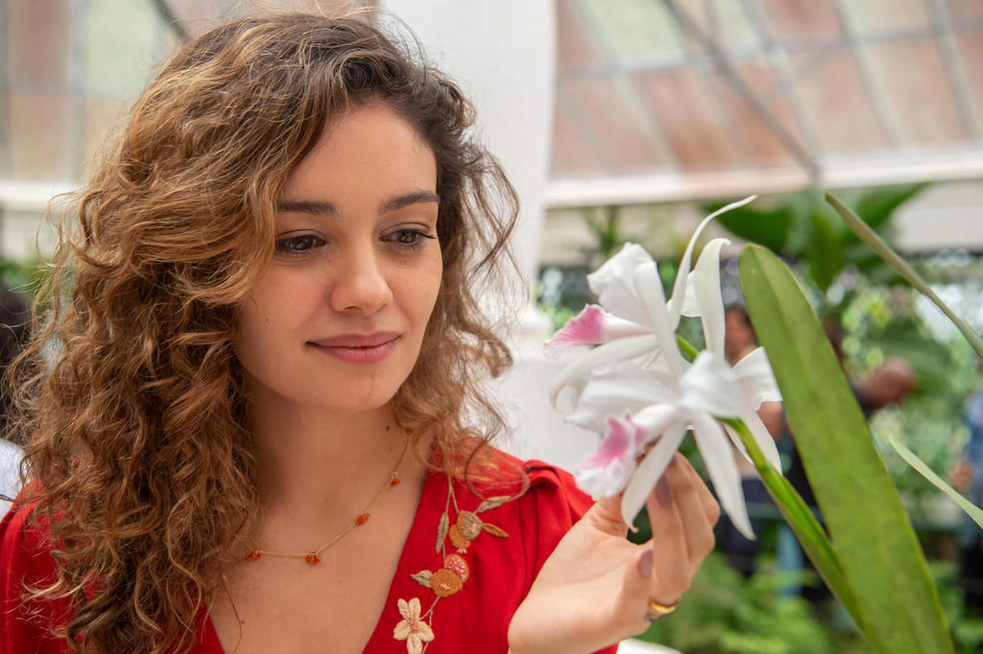 Estevam Avellar/Globo/Divulgação