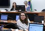 Deputada gaúcha vai presidir Comissão de Cultura da Câmara