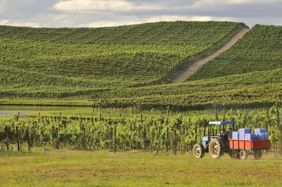 A união entre a tradição na produção de vinhos e espumantes de qualidade e a modernidade necessária para encarar os desafios da atualidade. No roteiro enoturístico dos Altos Montes, entre as cidades de Flores da Cunha e Nova Pádua, na Serra Gaúcha, é possível encontrar tecnologia, diversidade, riqueza enogastronômica, paisagens de tirar o fôlego e um conjunto de 11 vinícolas que é único no Brasil.<!-- NICAID(8329675) -->