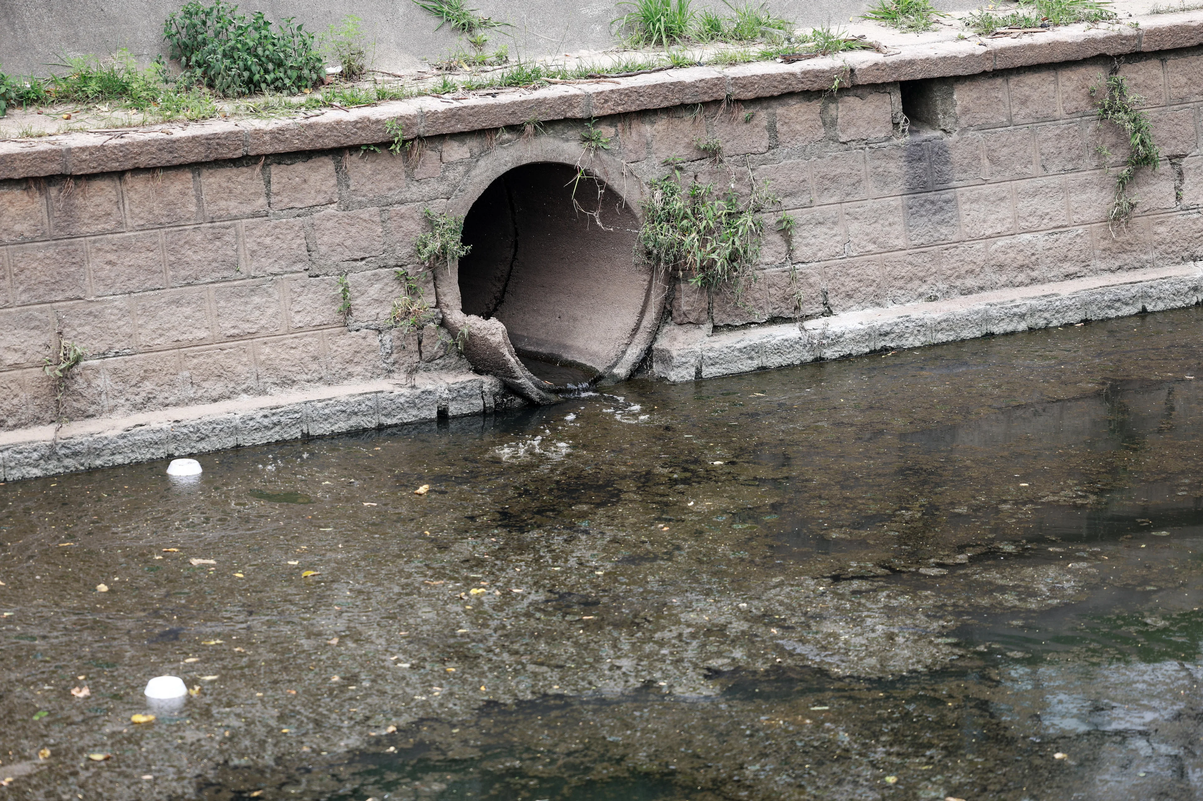 André Ávila/Agencia RBS