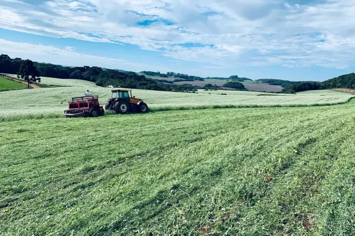 Coasa / Divulgação