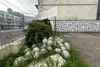 Esferas de concreto retiradas temporariamente do Largo Glênio Peres estão em pátio de prédio da Prefeitura<!-- NICAID(16167210) -->