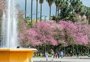 Primavera será marcada por tempo seco e muito calor no RS; veja previsão para os próximos meses