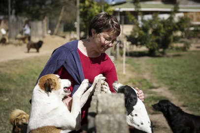 Porto Alegre, RS, Brasil, 28-08-2023: A protetora de animais Rejane Velho Ferreira, 47 anos, com cães que vivem no sítio no bairro Lami, no extremo-sul de Porto Alegre. A propriedade abriga pelos menos 400 cachorros e gatos e depende muito de doações para se manter.  Foto: Mateus Bruxel / Agência RBSIndexador: Andre Avila<!-- NICAID(15528956) -->