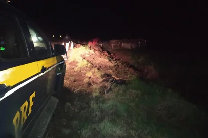 Motorista de caminhão fica ferido após acidente na BR-285, em Muitos Capões<!-- NICAID(15826470) -->