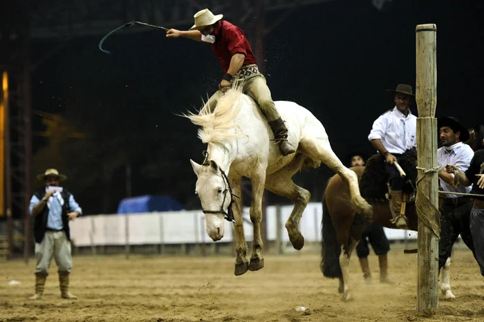 Porthus Junior / Agencia RBS