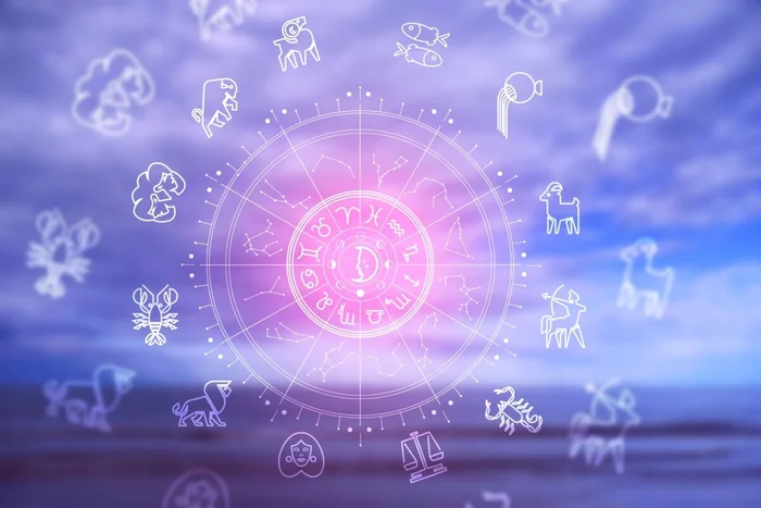 Cinemanikor / Shutterstock | Portal EdiCase