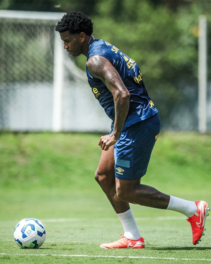 Reinaldo Campos / Santos F.C