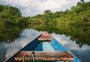 Um pulinho virtual na Amazônia