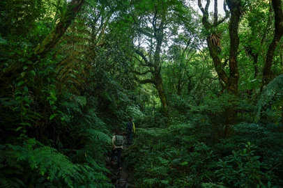 Jeff Botega / Agencia RBS MORRINHOS DO SUL, RS, BRASIL, 13-02-2026: A Trilha dos Tropeiros liga o interior do município ao Morro dos Tajuvas em uma subida de cerca de cinco quilômetros. O caminho refaz antigos percursos de circulação na região e conduz a um dos pontos mais altos e impressionantes do Litoral Norte gaúcho. Do topo, a vista se abre para diferentes cidades e formações naturais da costa, revelando a amplitude do território entre serra e mar. Foto: Jeff Botega/Agência RBSIndexador: jeff botega<!-- NICAID(16224884) -->