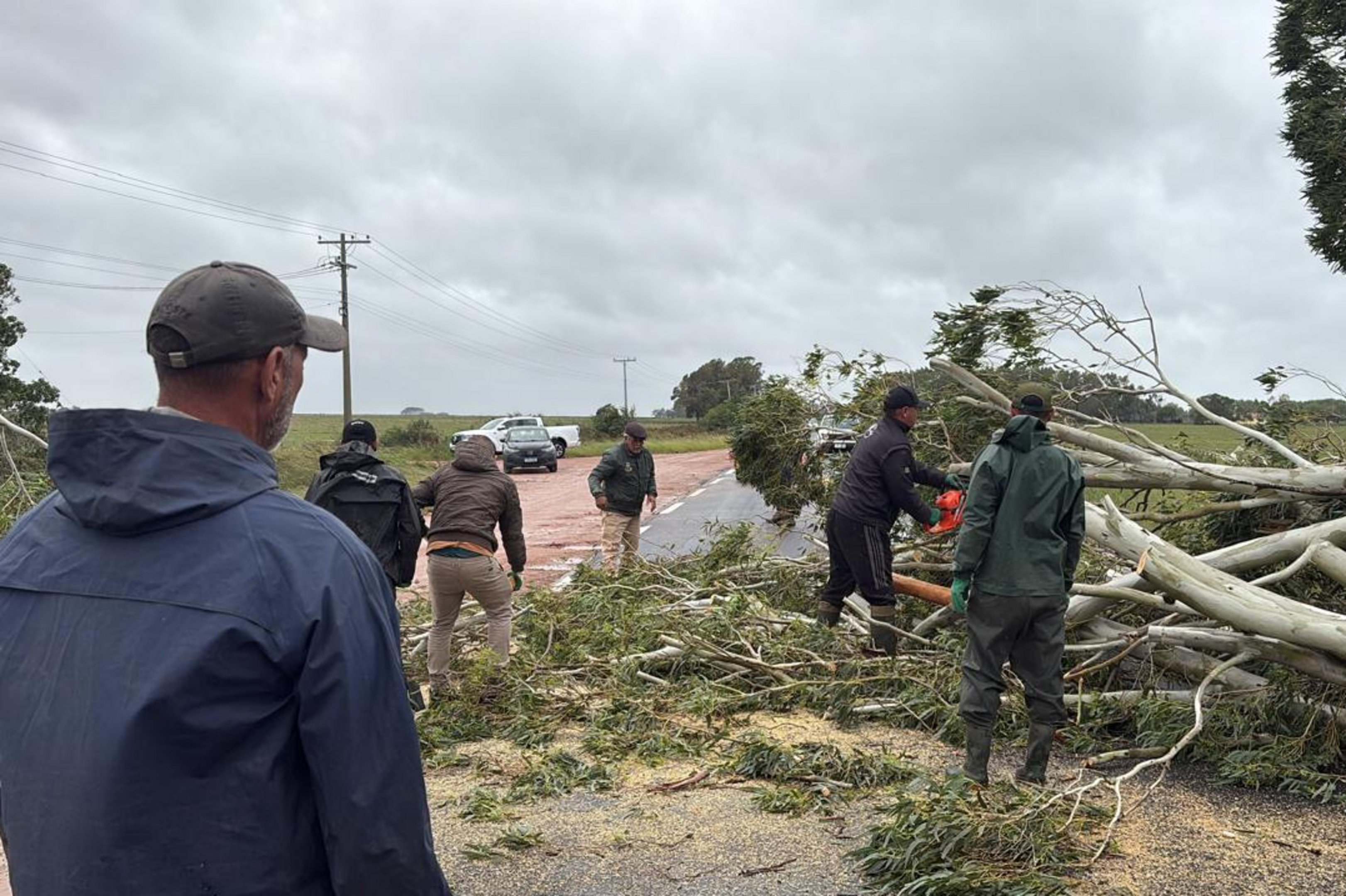 Vento forte deixa 9 mil sem luz e causa danos no sul do Estado