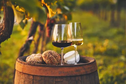 Rostislav Sedlacek / Adobe Stock pão e vinho,destemperados,caderno,gzh,natalia frighetto,pompeia,italia<!-- NICAID(16386557) -->