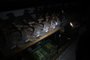 PORTO ALEGRE, RS, BRASIL - 2024.02.13 - Laboratórios de Zooctecnia da UFRGS estão sem energia elétrica desde domingo a tarde, o que gerou perdas de milhares de reais em estudos. E também na vida de peixes e aves, que sem eletricidade morreram de calor ou após falha de equilíbrio químico nos tanques de água - Foto: André Ávila/Agência RBS<!-- NICAID(15678105) -->