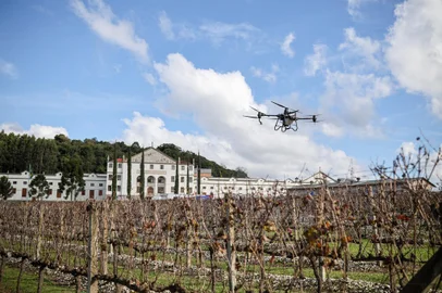 Vinícola Salton realiza a segunda edição do evento Ciclos & Vinhas: Semeando a Sustentabilidade. A programação em Bento Gonçalves reúne mais de 20 marcas expositoras em mostra técnica e palestras voltadas à agricultura e boas práticas no campo - Foto: Vagão Filmes/Divulgação<!-- NICAID(15442624) -->