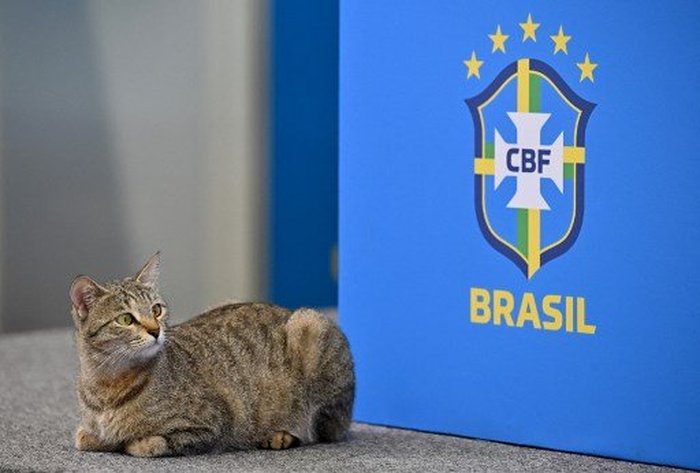 Nelson Almeida / AFP Nelson Almeida / AFP