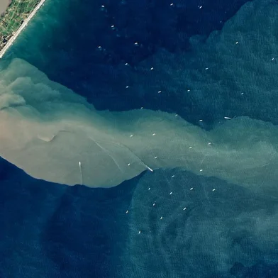 Vessels are sitting offshore by Brazil's Rio Grande anchorage in the Southern Atlantic Ocean, either waiting for their turn in the busy Port of Rio Grande or for the right sailing conditions to come in. They are situated over a large sediment plume coming from the Lagoa dos Patos . The province of Rio Grande do Sul experienced severe flooding in late September and early October this year when this image was taken, which might have contributed to the sediment-rich waters we are seeing. Phytoplankton offshore can feed off the nutrients carried in these plumes.This scene was taken by the OLI-2 instrument aboard Landsat 9 on October 5, 2023.<!-- NICAID(15592825) -->