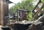 Chuva causa queda de árvore e morte de criança em Porto Alegre; siga ao vivo