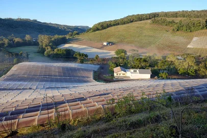 Família Boff inaugura cantina colonial nesta sexta-feira.<!-- NICAID(16184616) -->