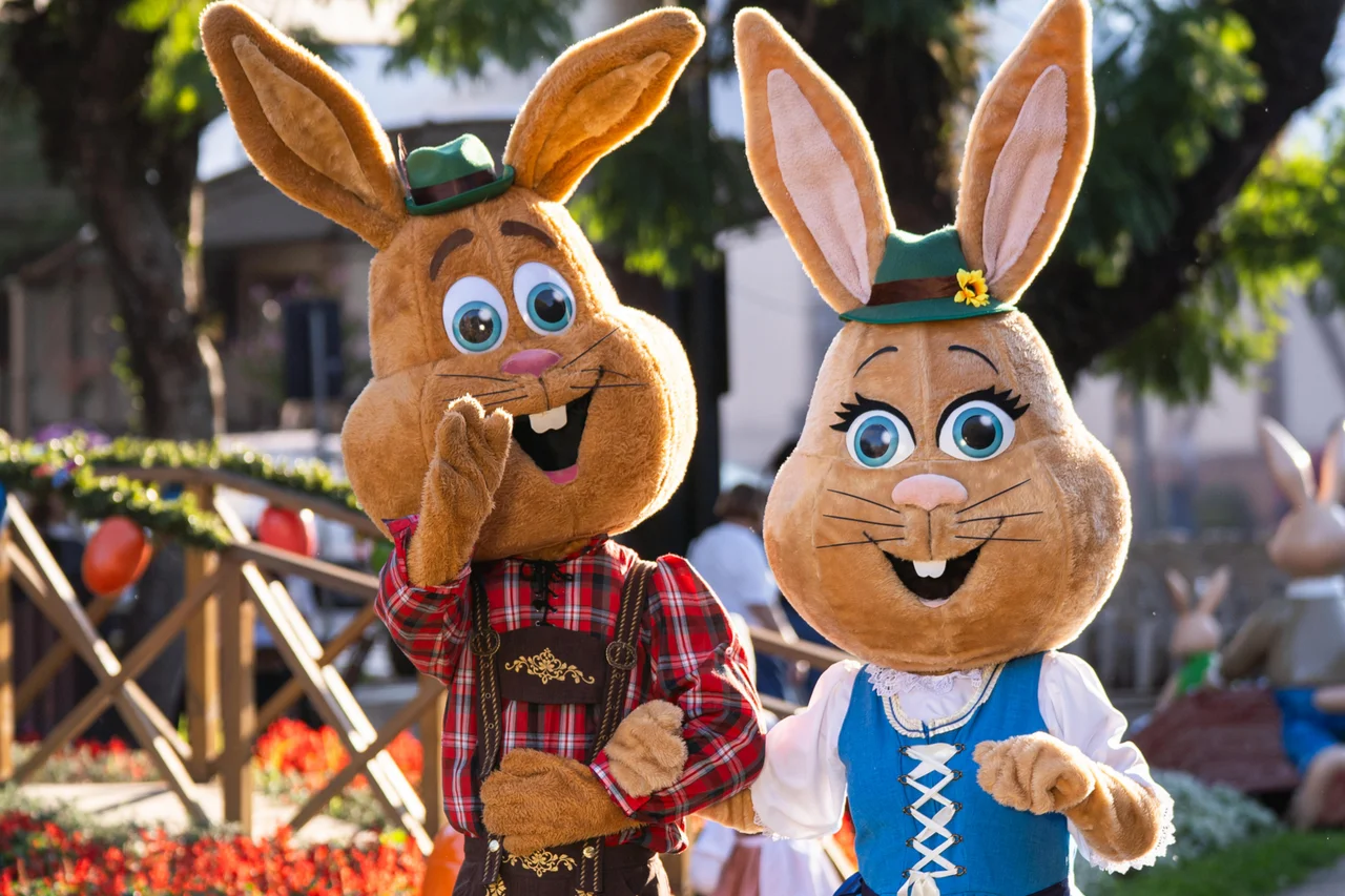 Micael Lima/Pêndulo Audiovisual