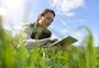 Conhecimento do engenheiro agrônomo fortalece o agronegócio  