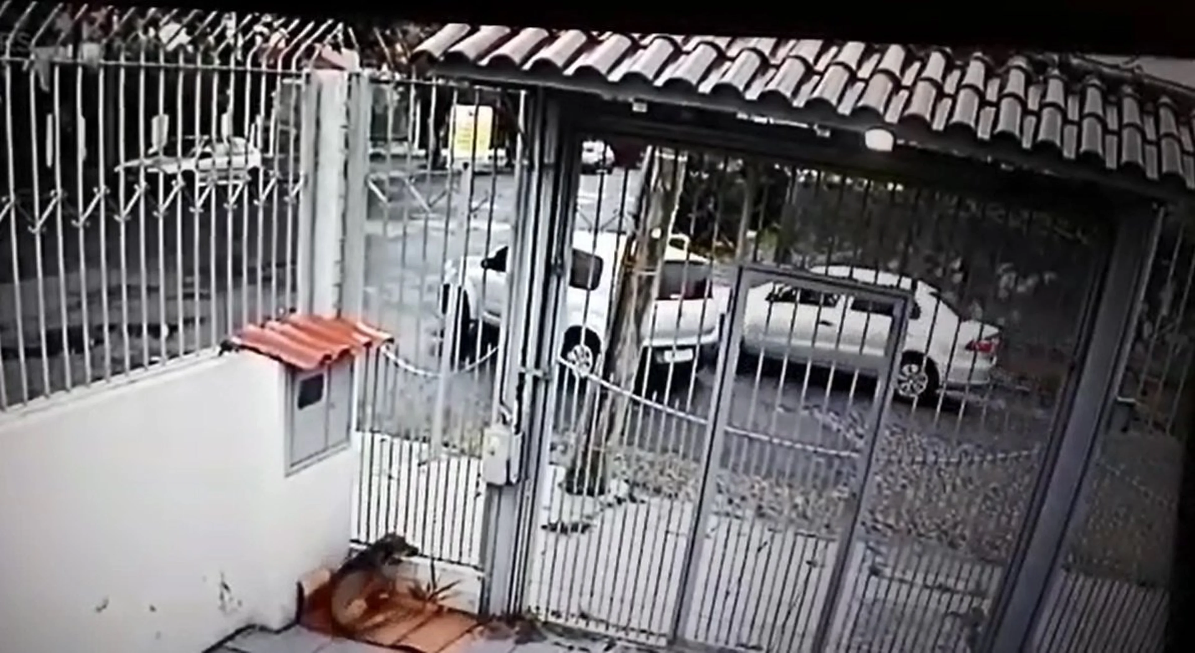 Polícia Civil/Divulgação
