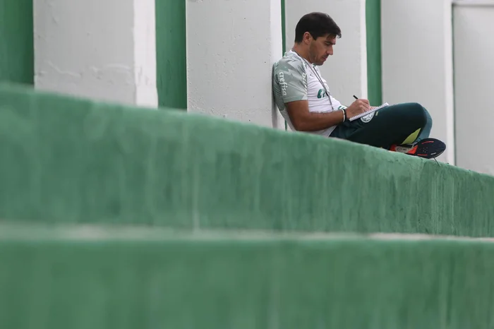 Cesar Greco / Palmeiras,Divulgação