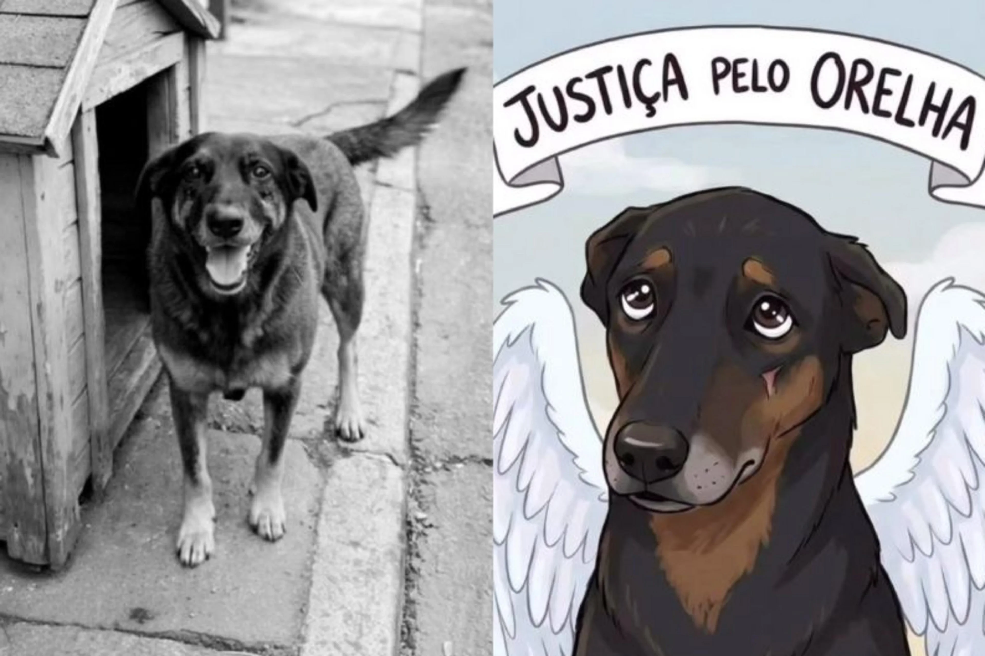 @floripa_estacomvcorelha / Instagram/Reprodução