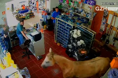 Cavalo invade loja em Passo Fundo