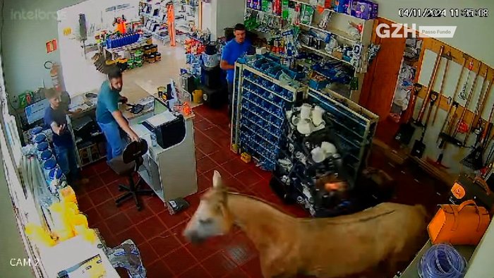 Vídeos GZH / Reprodução