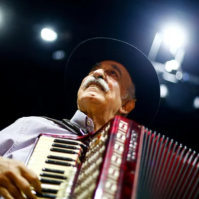 Porto Alegre, RS, BrasilLuiz Carlos Borges retorna aos palcos com show no Teatro Renascença.Indexador: Jonathan Hgeckler<!-- NICAID(15182785) -->