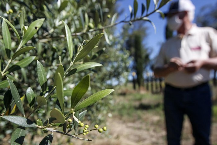 Andr&eacute; &Aacute;vila / Agencia RBS