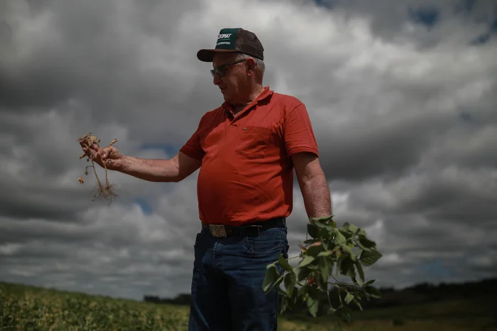 Renan Mattos / Agencia RBS Renan Mattos / Agencia RBS