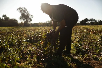 PORTO ALEGRE, RS, BRASIL - 2024.09.02 - Reivindicações dos produtores da Zona Rural de Porto Alegre para o próximo prefeito. Na foto, Oscar da Silva Goulart Neto. (Foto: Renan Mattos/ Agência RBS)<!-- NICAID(15857431) -->