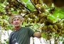 Com produção de novos pomares, safra do kiwi deve atingir 700 toneladas em Farroupilha