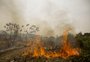Um a cada quatro hectares do Brasil pegou fogo nas últimas quatro décadas, aponta MapBiomas