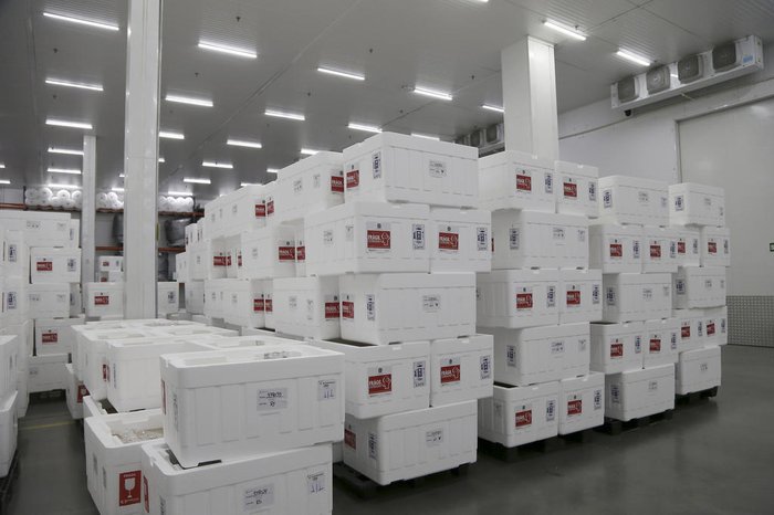 Paulo Lopes / Ministério da Saúde/Divulgação Paulo Lopes / Ministério da Saúde/Divulgação