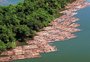 Na COP26, Sebastião Salgado pedirá mais árvores e o cumprimento da lei para manter a Amazônia viva no Brasil