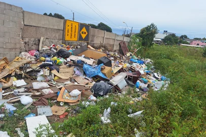 Lixo atrai animais para a área do aeroporto de Caxias<!-- NICAID(16005342) -->