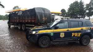 Polícia Rodoviária Federal / Reprodução