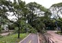 Choque de massas de ar causou tempestade da noite de terça-feira no RS