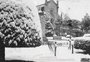 Dante Alighieri e a “divina neve” de 1941